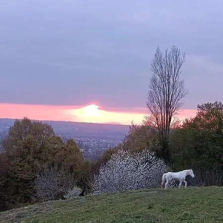 La Parenthèse - De La Paruline Saint-Genix-sur-Guiers